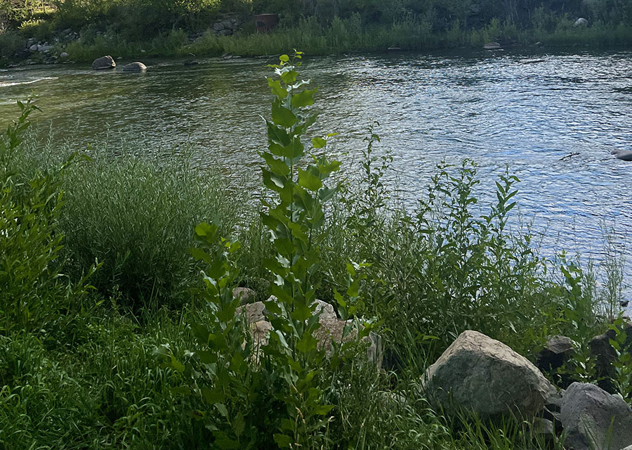 lake personal life coach santa fe